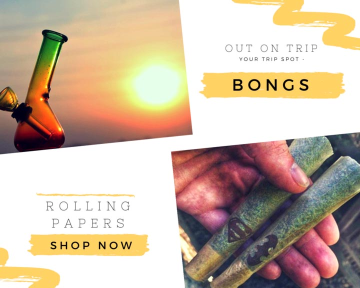 Rolling Papers V/s Bongs!
