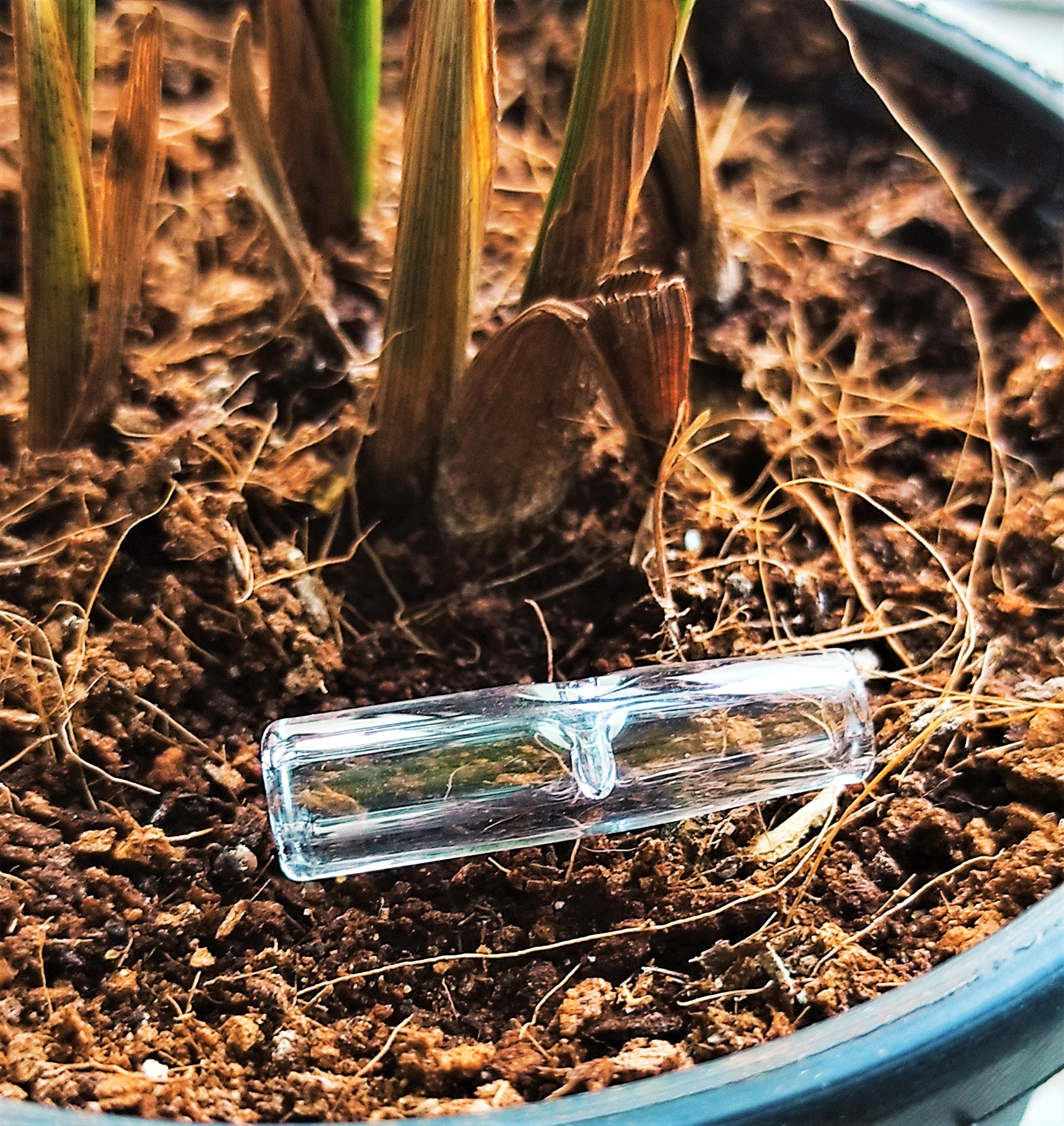 OutonTrip Re-useable Small Glass Filter Tip - Round Mouthpiece - 26mm
