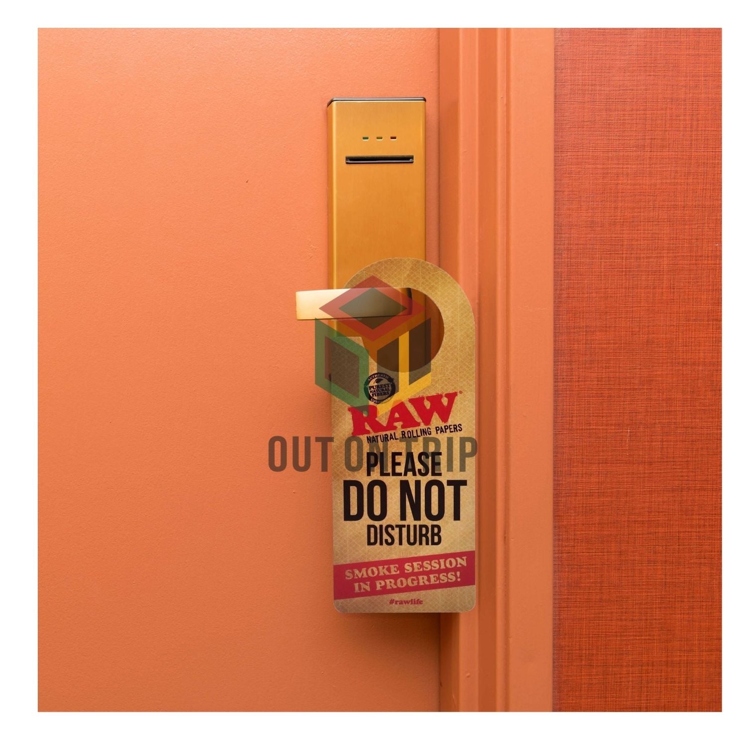 RAW Do Not Disturb Sign