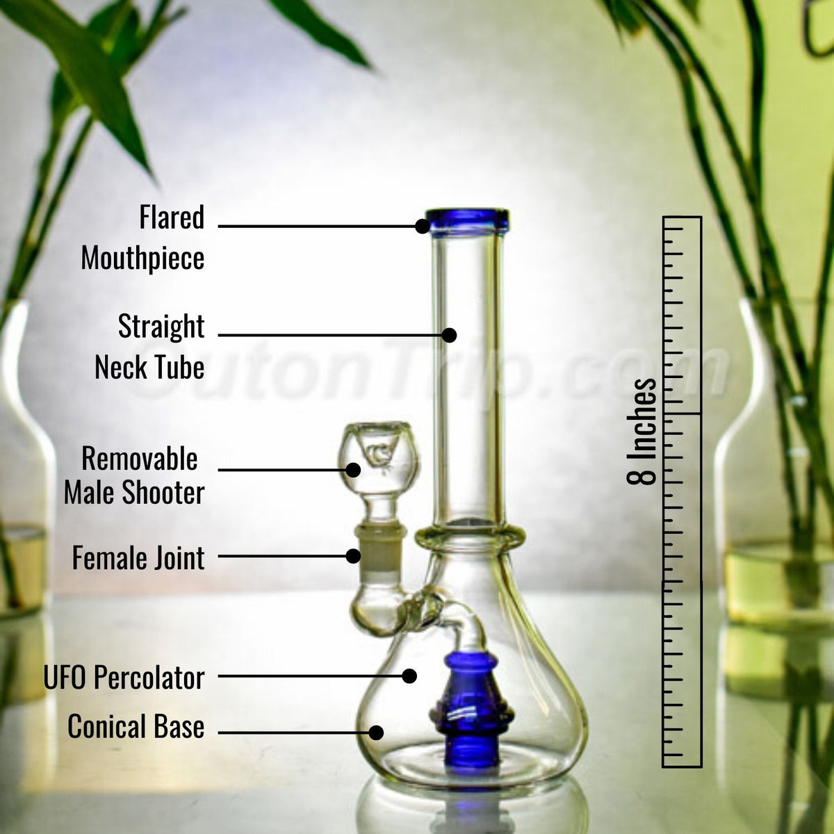 8 Inch Scientific Assorted Colors Bong with Dome Percolator (Discontinued)