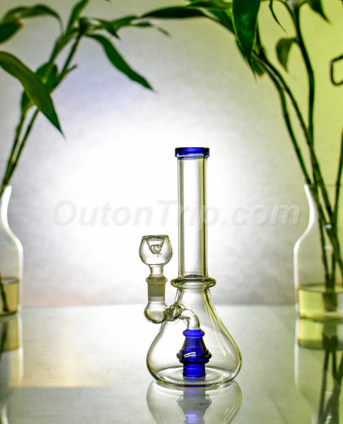 8 Inch Scientific Assorted Colors Bong with Dome Percolator (Discontinued)