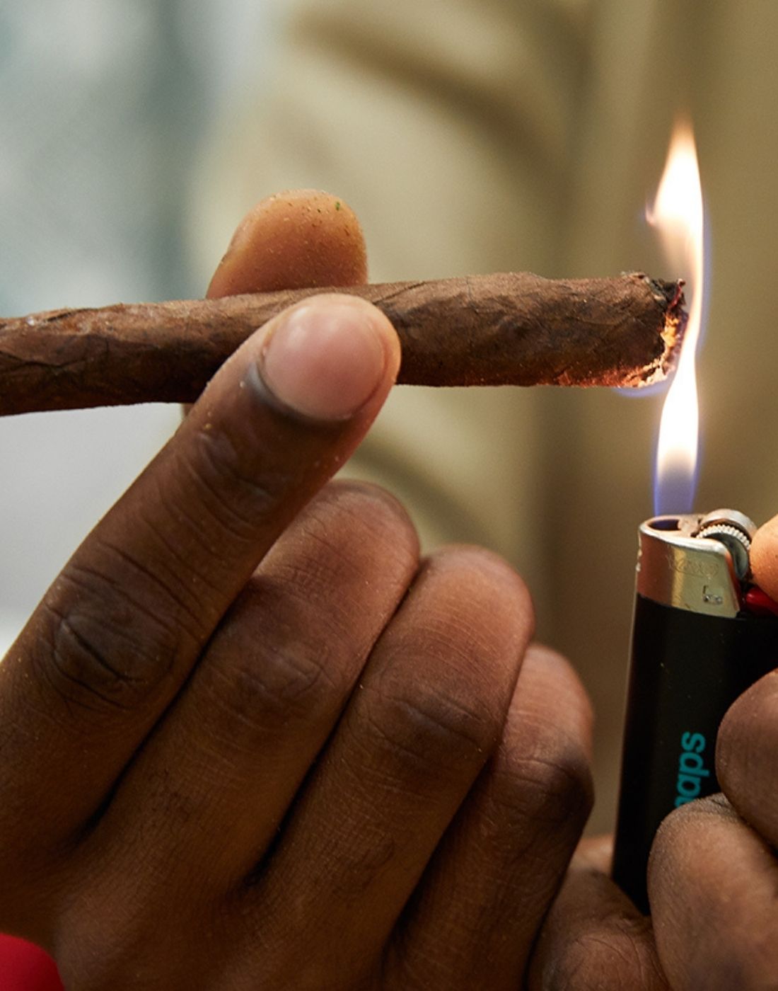 Rolling Papers, Bongs, Blunts in India