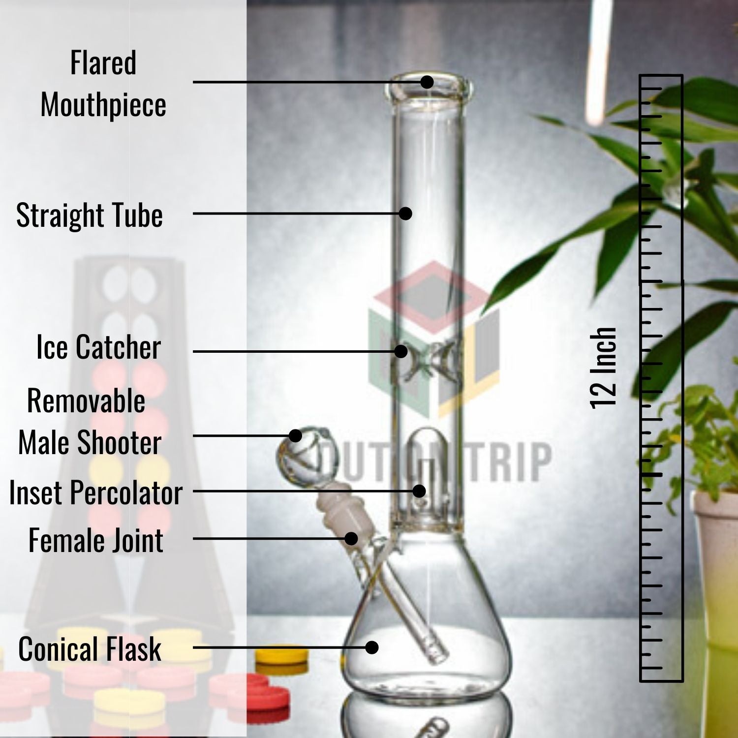 12 Inch Glass Bong with Ice Catcher & Inset Percolator