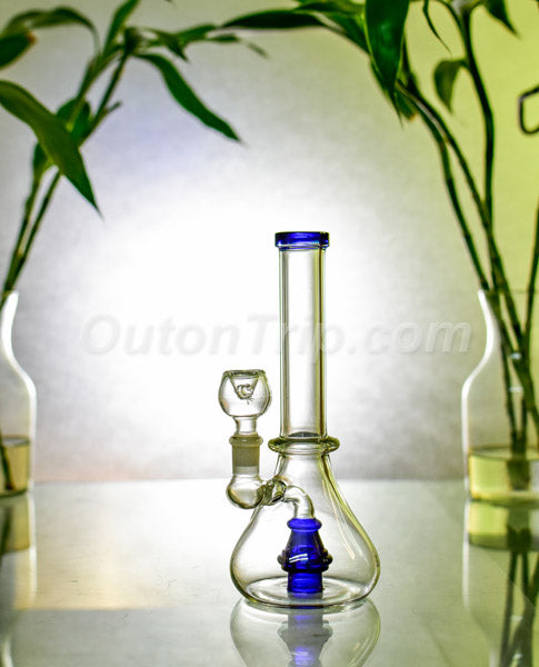 8  Inch Scientific Assorted Colors Bong with Dome Percolator (Discontinued)